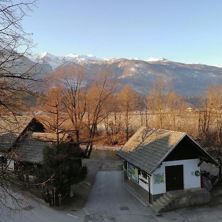 Apartma Kosnik Perunika 博希尼 外观 照片