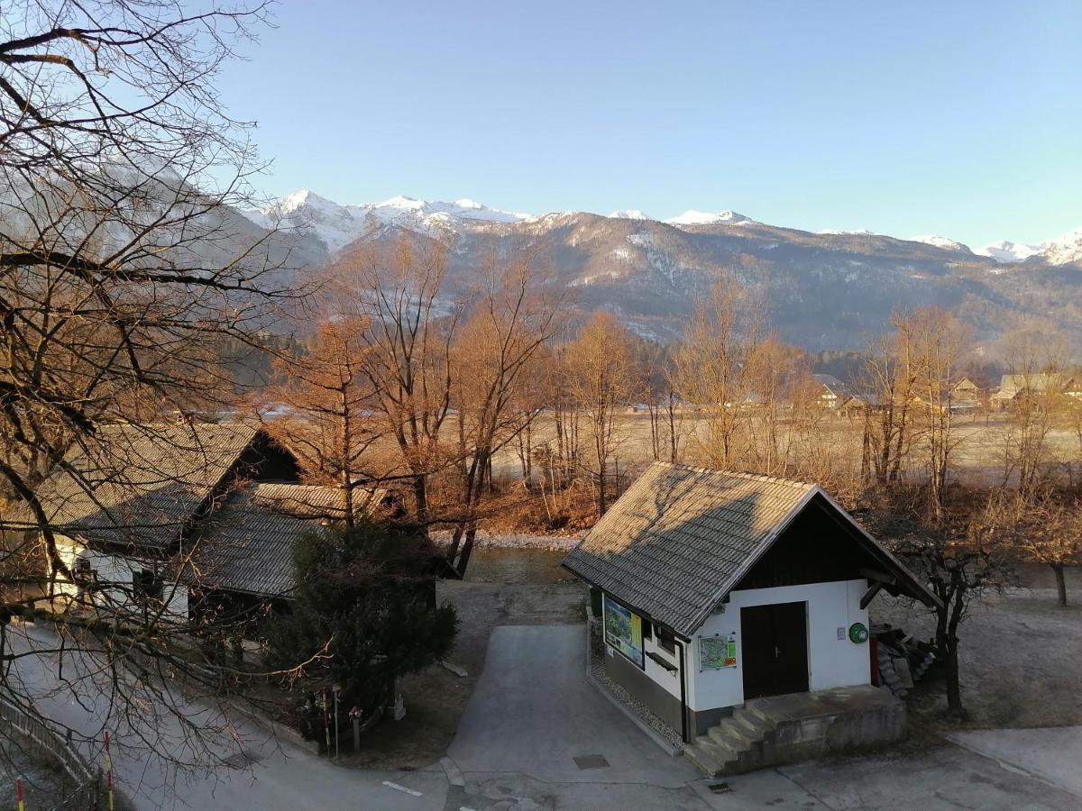 Apartma Kosnik Perunika 博希尼 外观 照片